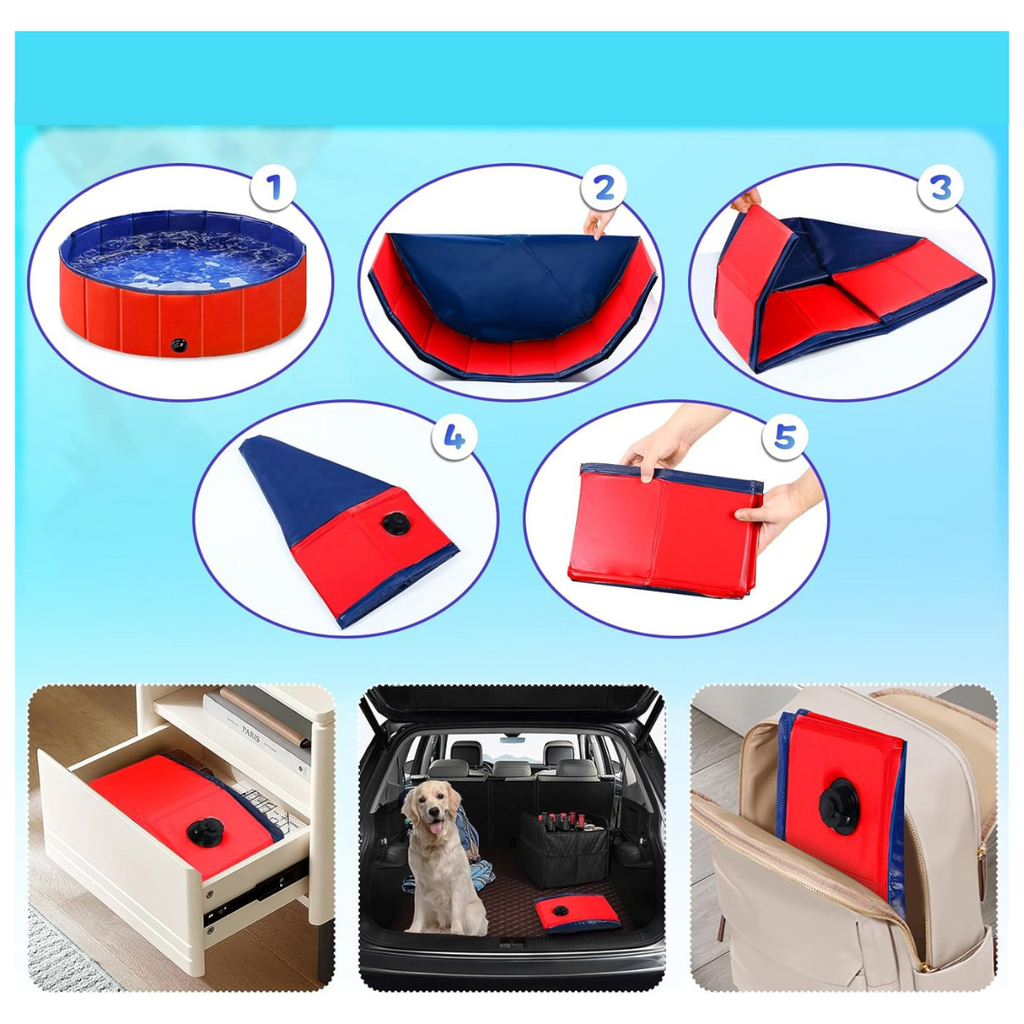 Piscina Divertida para Mascotas